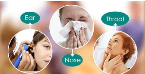 Best ENT Specialist Doctor in Habiganj