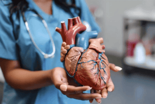 Best Cardiologist Doctor in Jashore